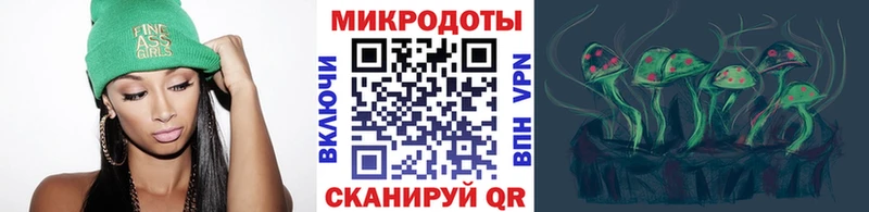 Псилоцибиновые грибы Psilocybe даркнет сайт Нелидово